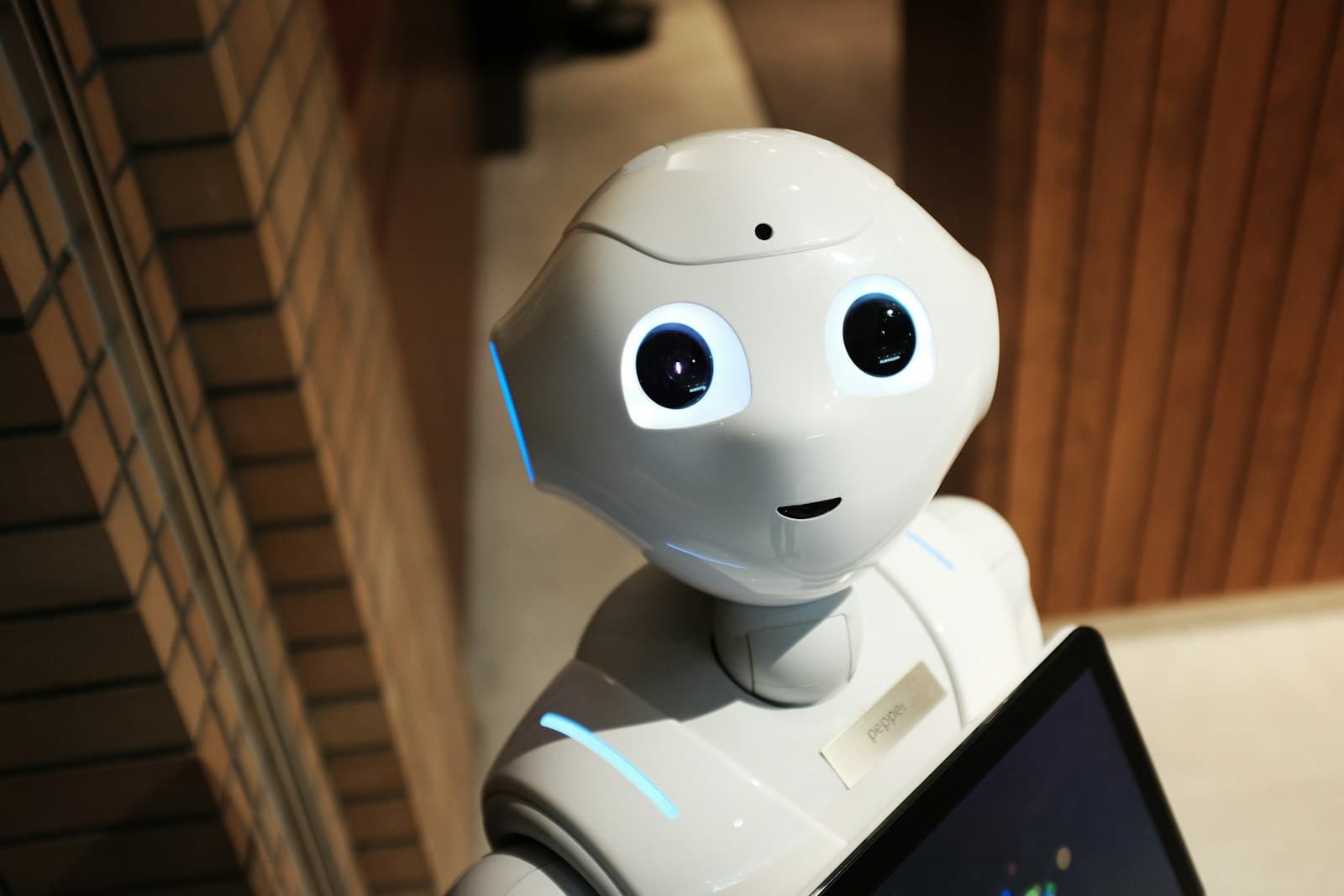 Artificial Intelligence (AI) Training